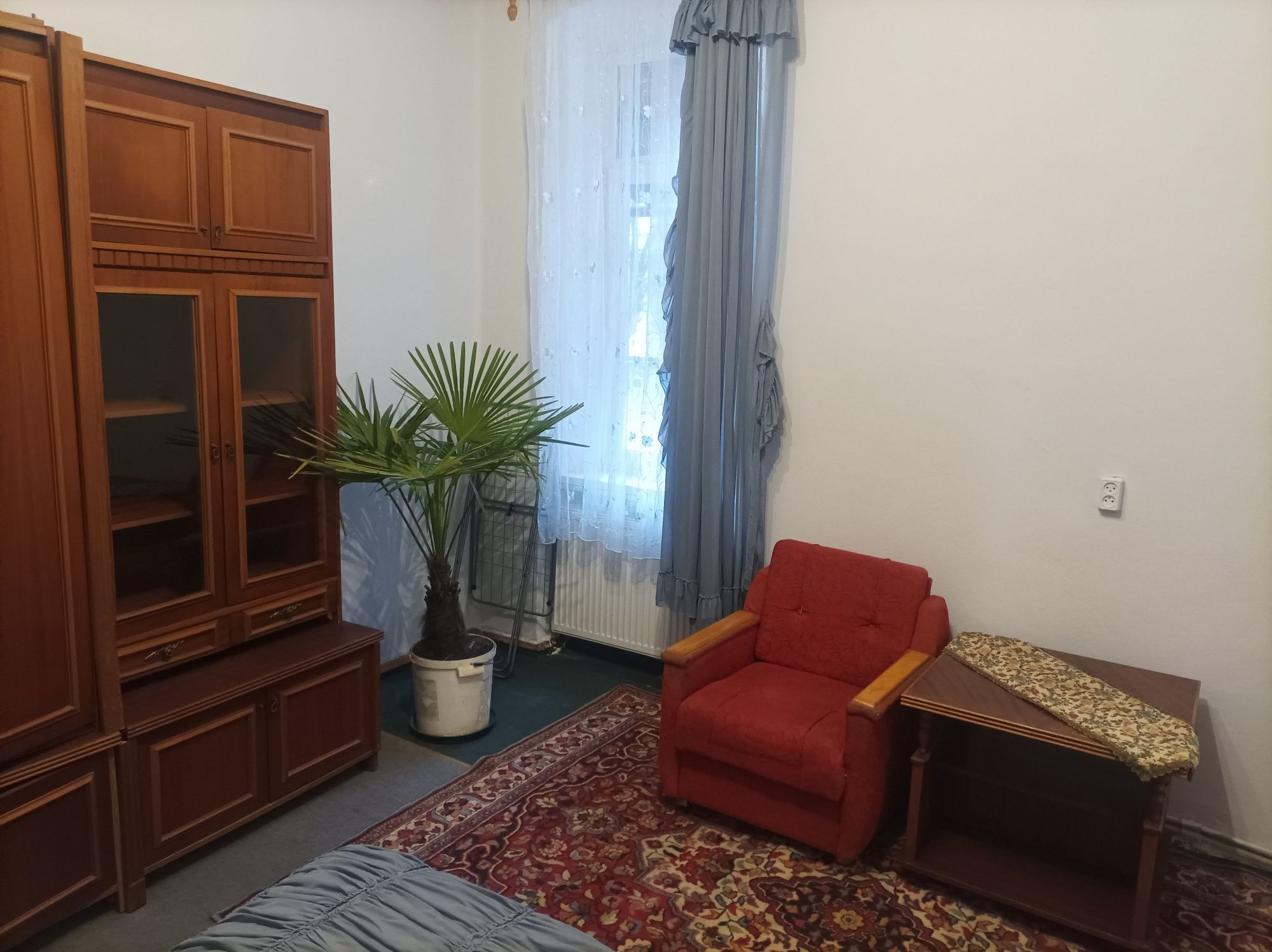 Two-room apartment in quiet center with pets allowed