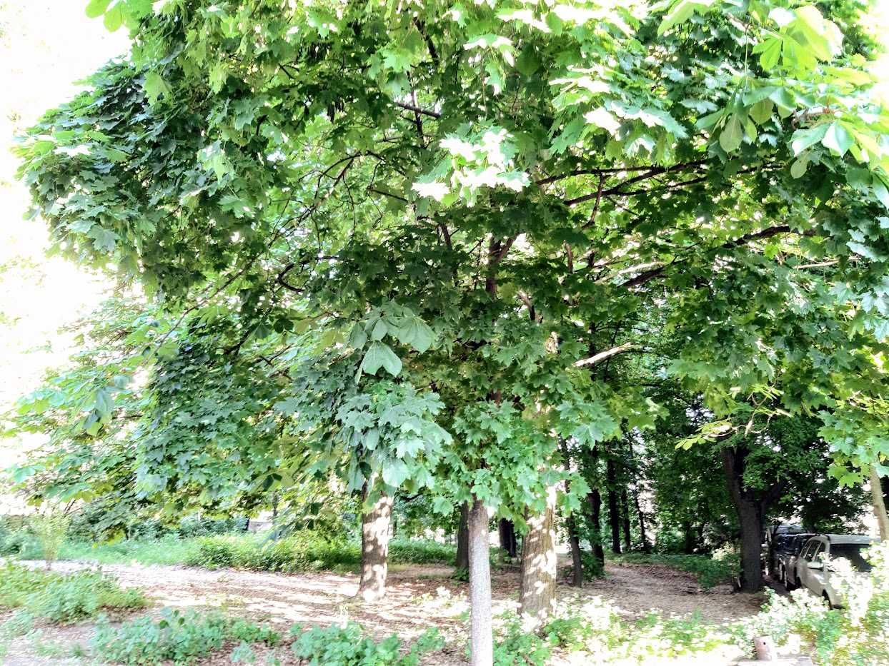 1-Room Apartment with Modern Amenities near Lybidska Metro