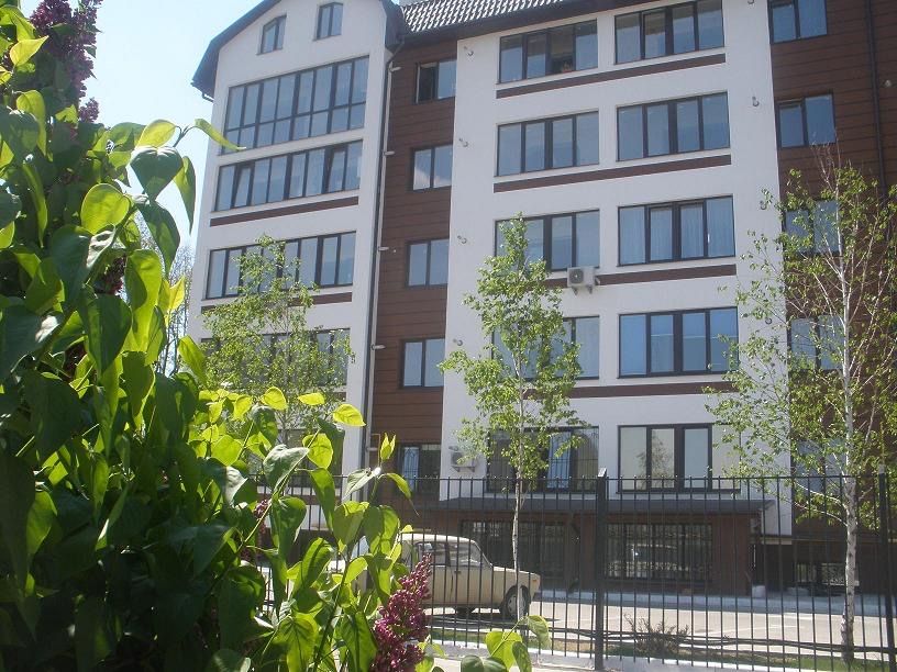 2-Room Studio Apartment in Petropavlivska Borshchahivka
