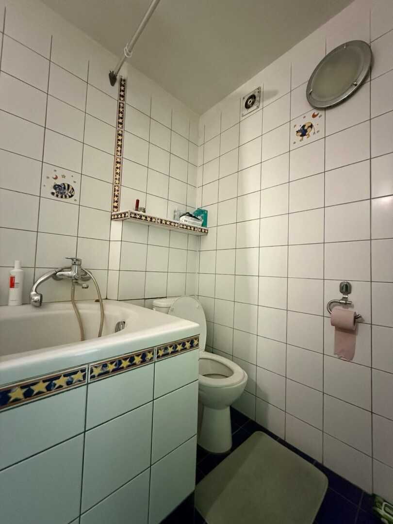 Spacious 2-Room Apartment on Pasichna Street with Park View