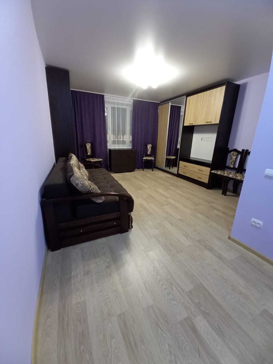 1-Bedroom Apartment on Skrypnyka Street, Long-Term Rental