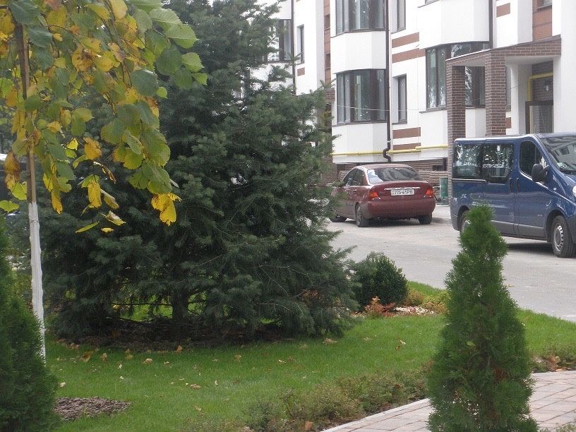 2-Room Studio Apartment in Petropavlivska Borshchahivka
