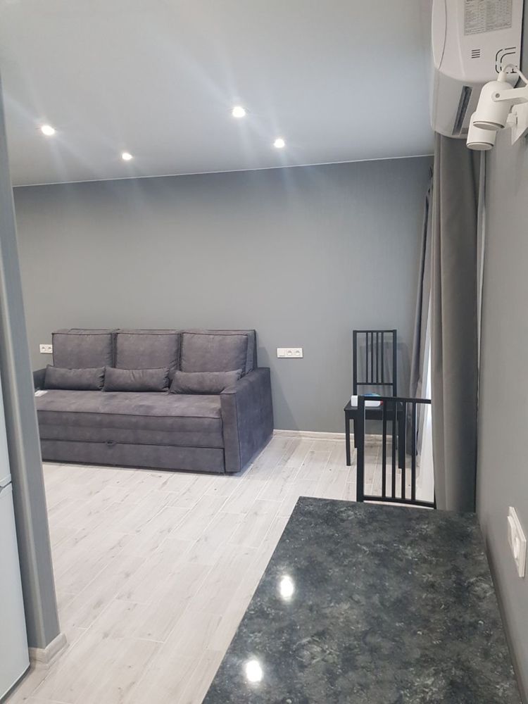 Fully Furnished 1-Bedroom Apartment with Designer Renovation