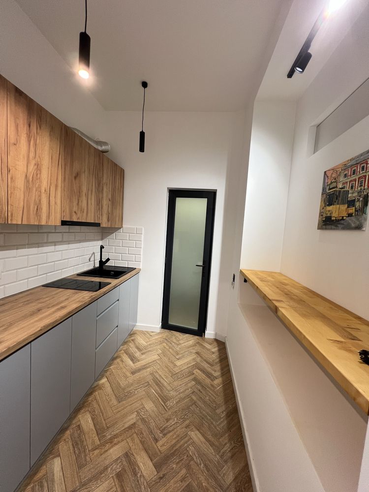 1-bedroom apartment in near-central location with park zone view