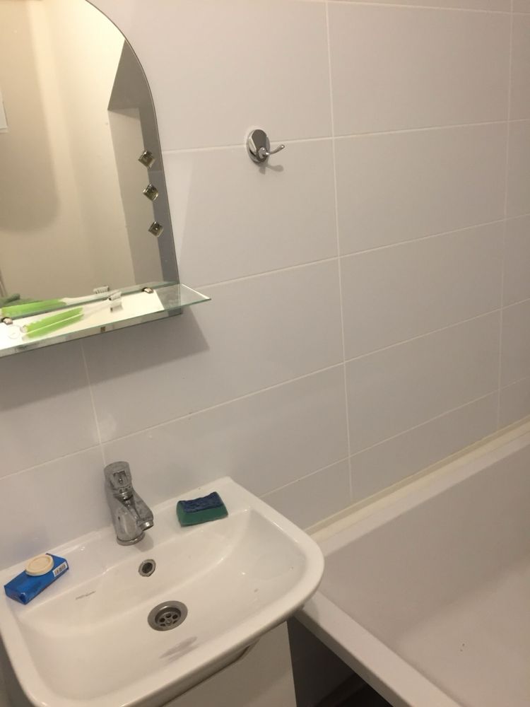 2-Room Apartment with Studio Kitchen on BAM