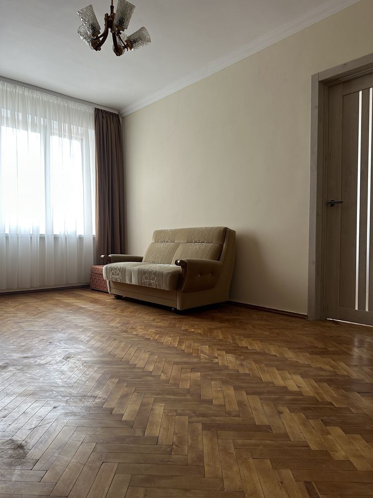 Renovated Two-Room Apartment with Garage in Pasichna