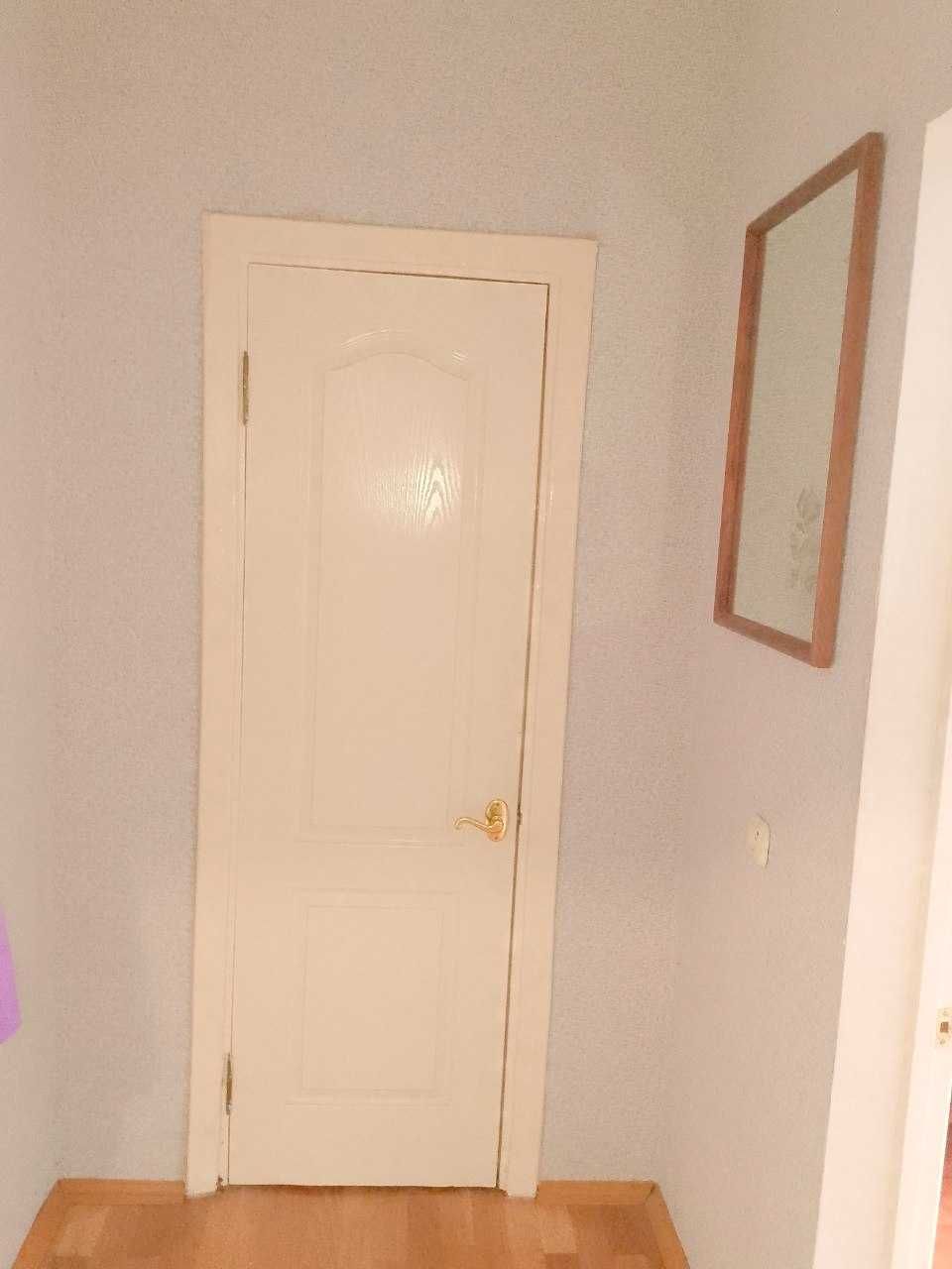 1-Bedroom Apartment with Furniture and Appliances on Puhova Street