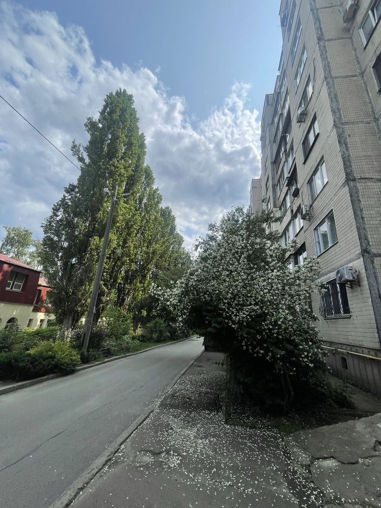 1-Room Apartment in Convenient Holosiivskyi District Location