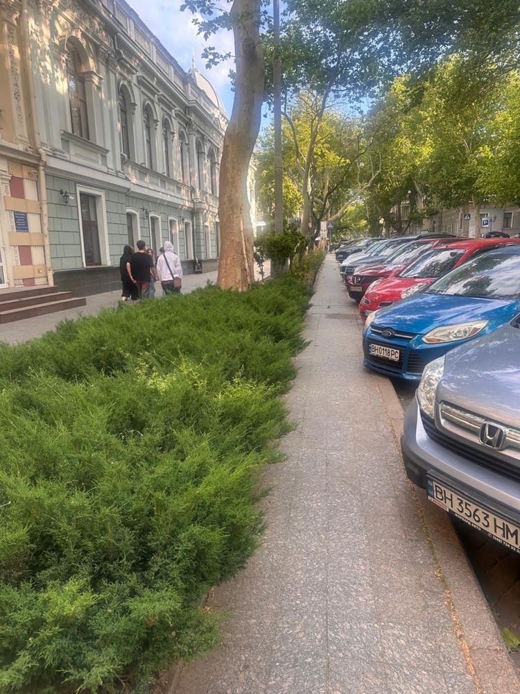 Spacious Apartment on Pushkin/Lanzheronovskaya Street