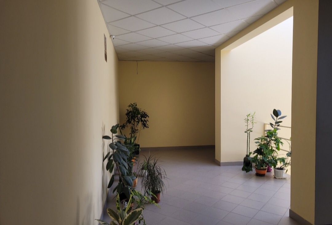 Cozy Euro-Studio in Renovated Building with All Amenities