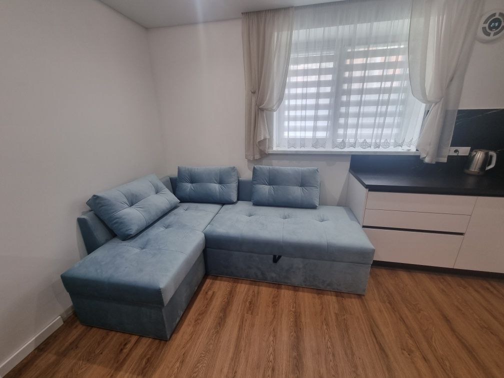 Furnished 1-Room Apartment with Designer Renovation and Built-in Appliances