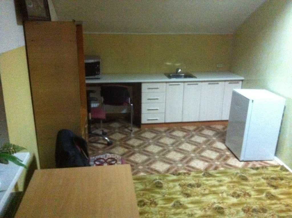 1-Room Apartment on Barkhatna Street, Petropavlivska Borshchagivka