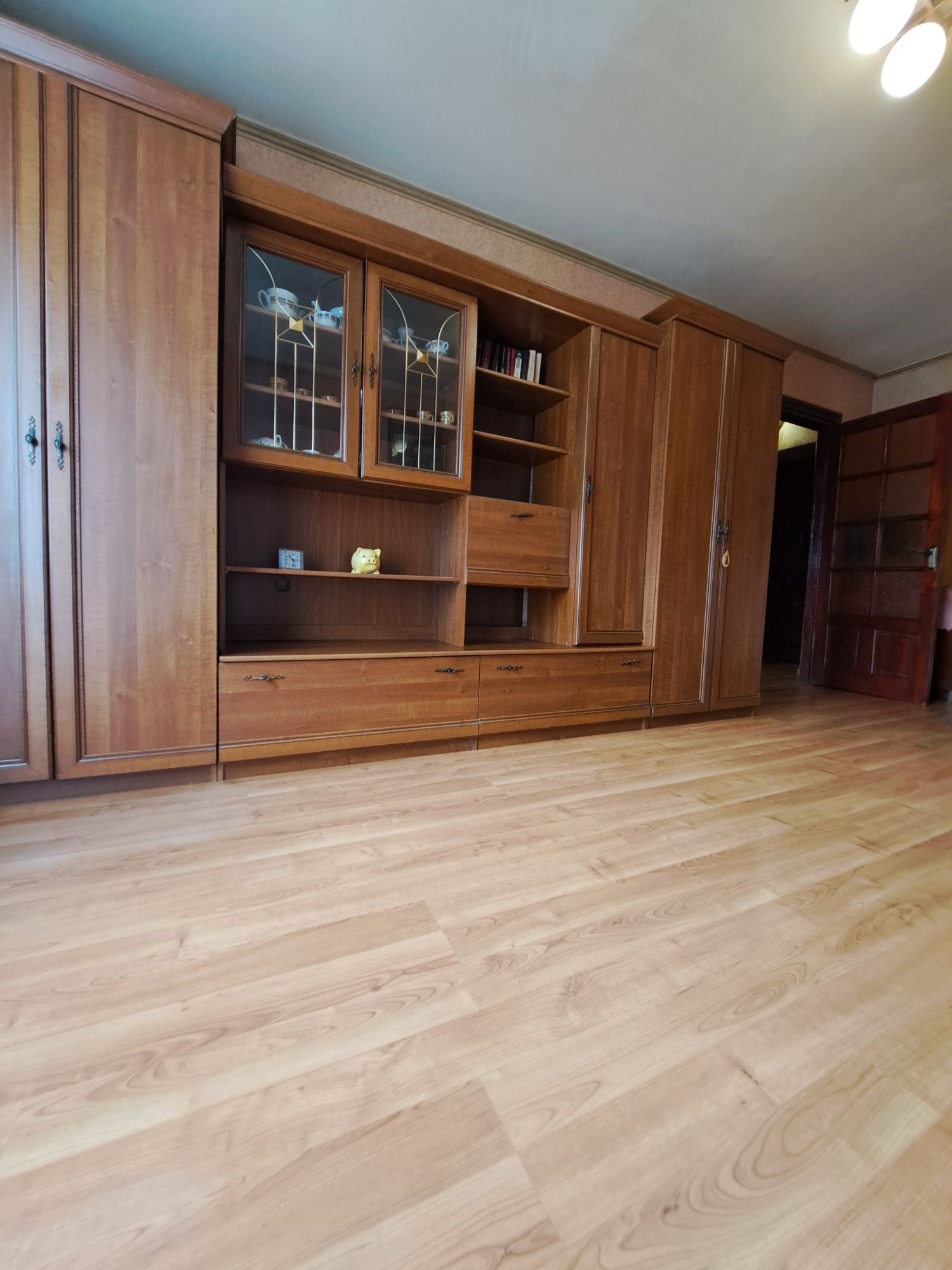 Cozy 1-bedroom apartment on Hotkevycha Street with convenient location