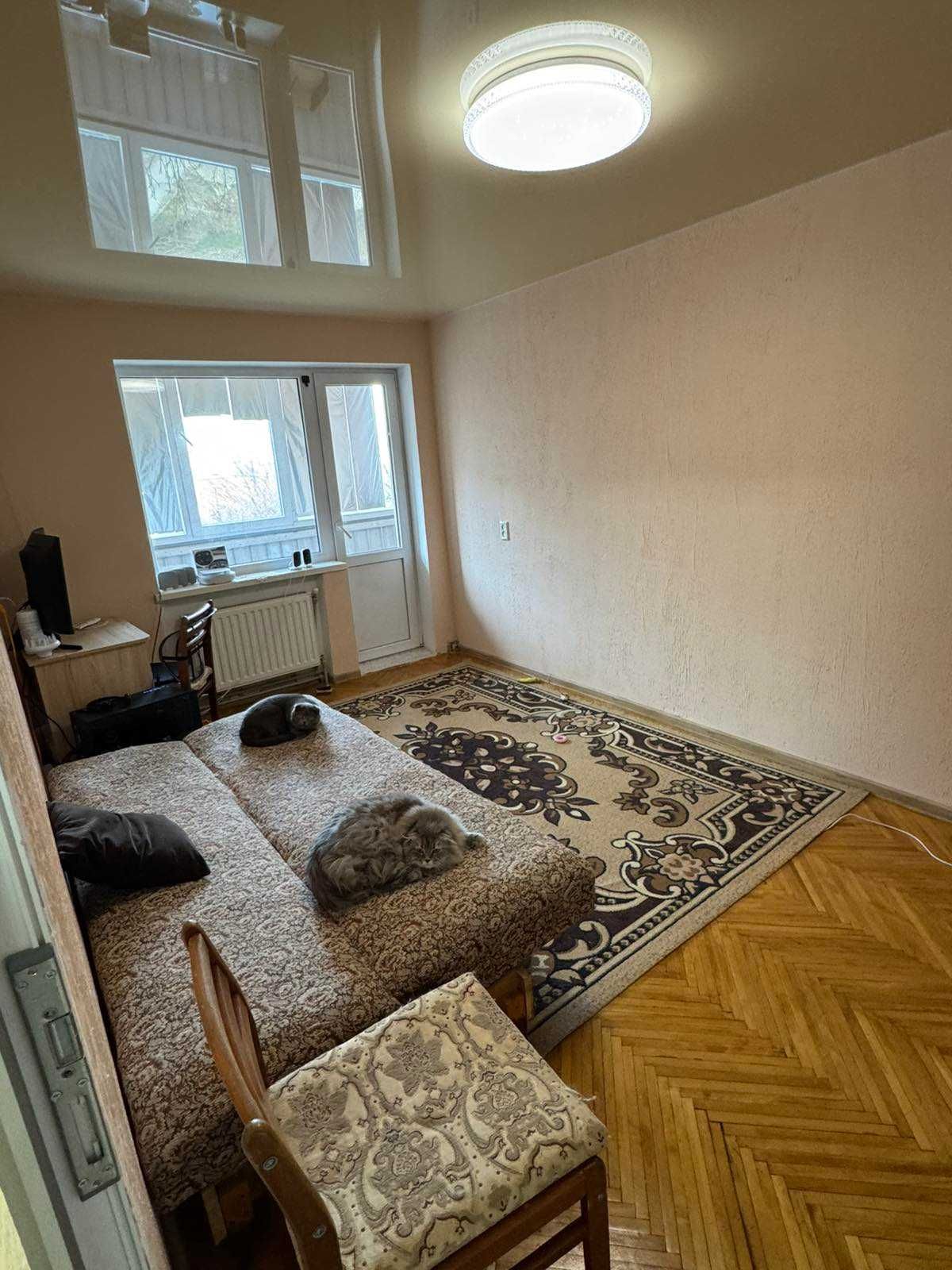Warm Apartment with Parking Space for Long-term
