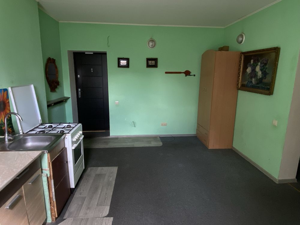 One-room apartment near the park with necessary furniture and appliances