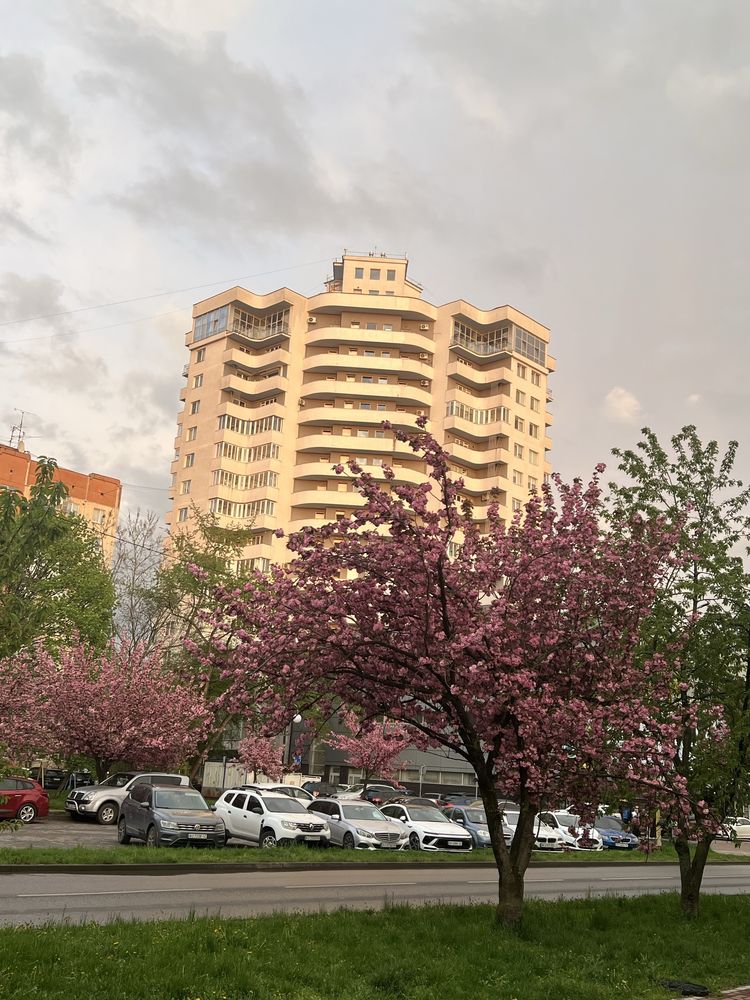 Spacious 1.5-room apartment with euro renovation and full furnishing