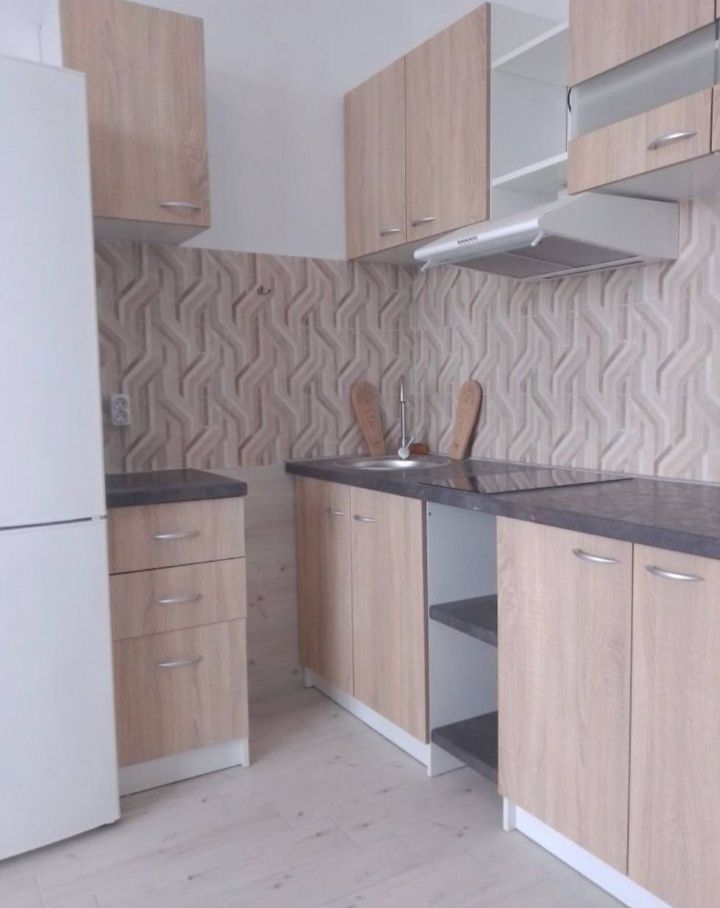 Comfortable one-bedroom apartment with studio kitchen and separate bedroom