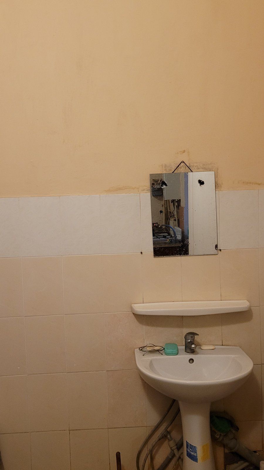 Shared Room in Classic Building with Kitchen Access