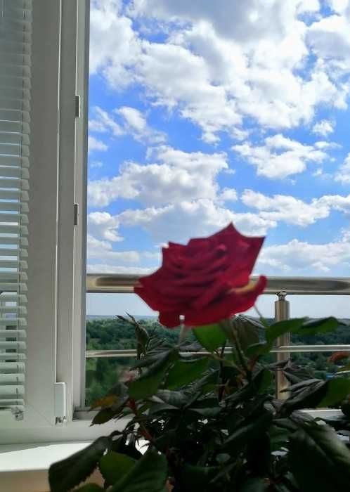 Қала көрінісі және заманауи ыңғайлылықтары бар 8-қабаттағы кең пәтер