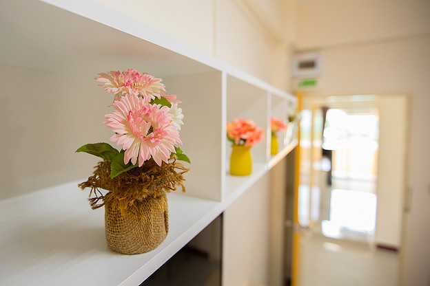 AE Richy Home Apartment - Clean, Green View Studio near Universities
