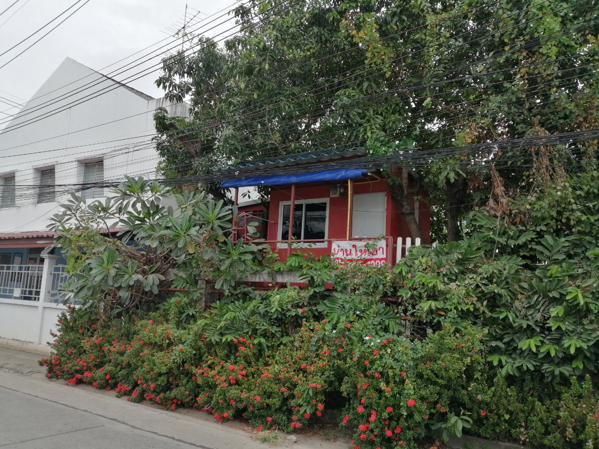 Renovated calm safe clean tropical living space