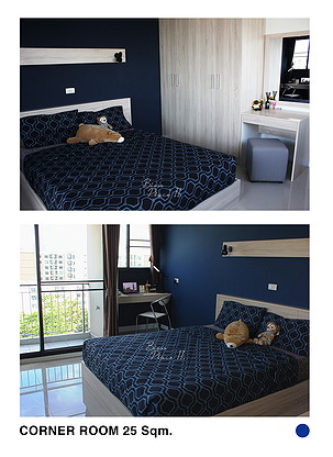 Bless Place 2 - Comfortable Rental Rooms with Modern Design