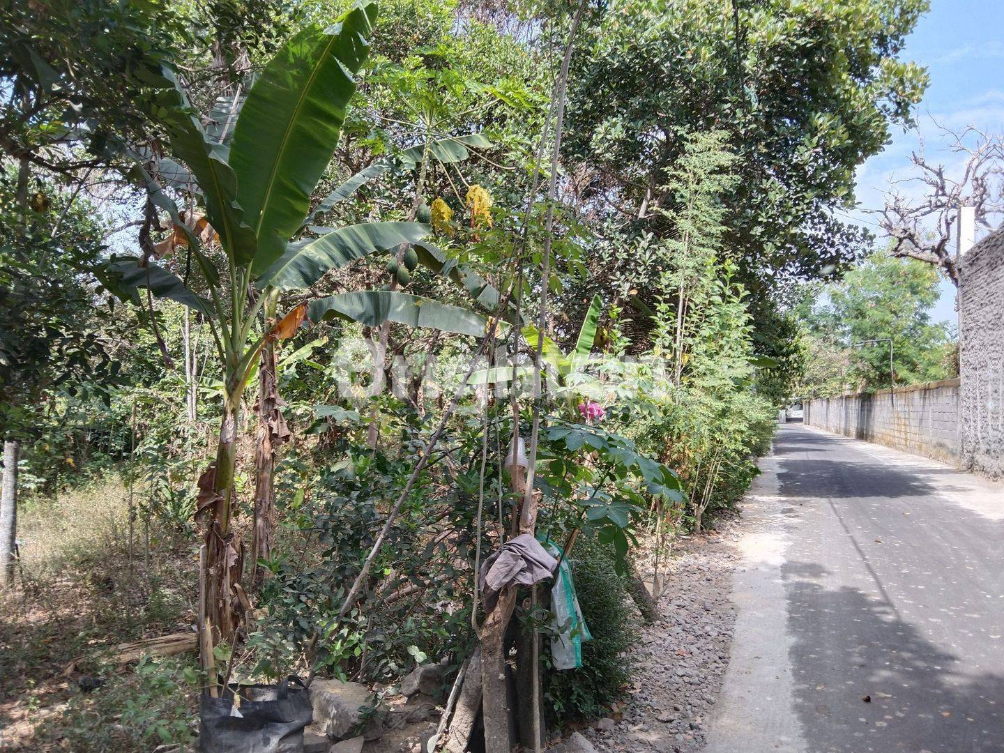Large Commercial Land Plot Near Sleman City Hall