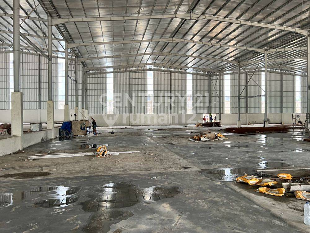 Modern Industrial Warehouse in Delta Silicon Complex