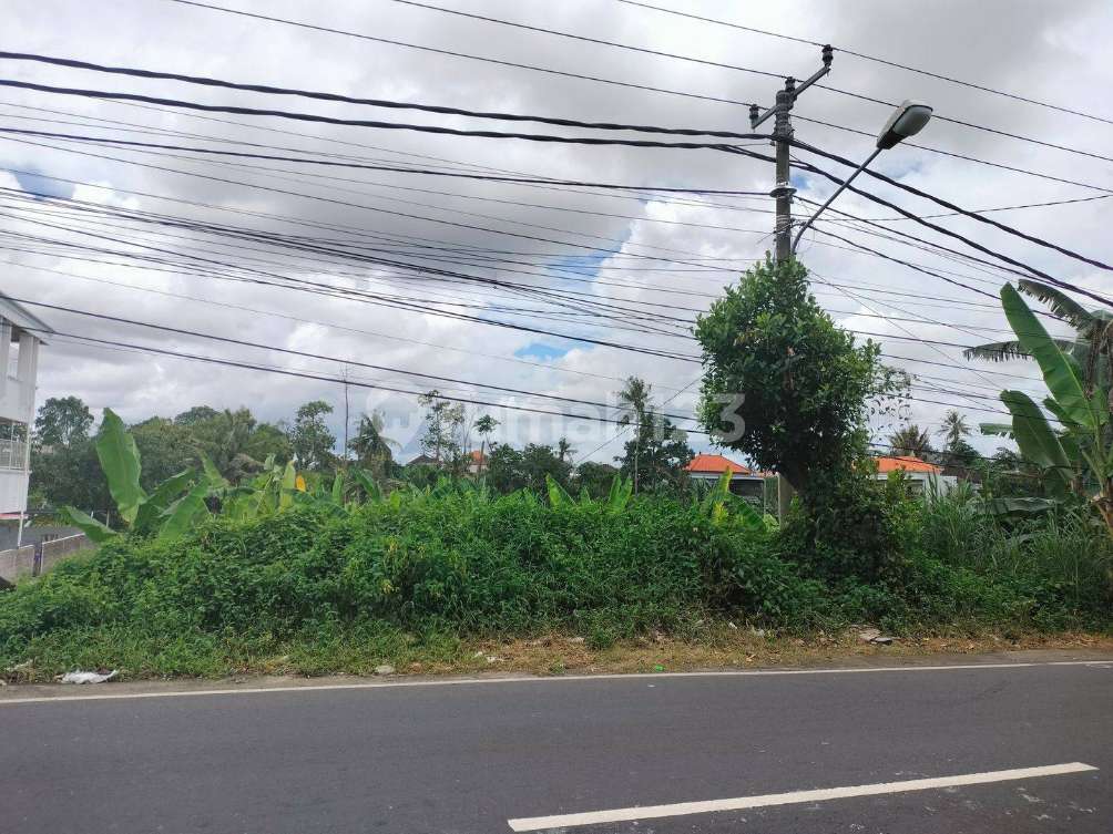 Large Commercial Land Plot Near Schools and Market