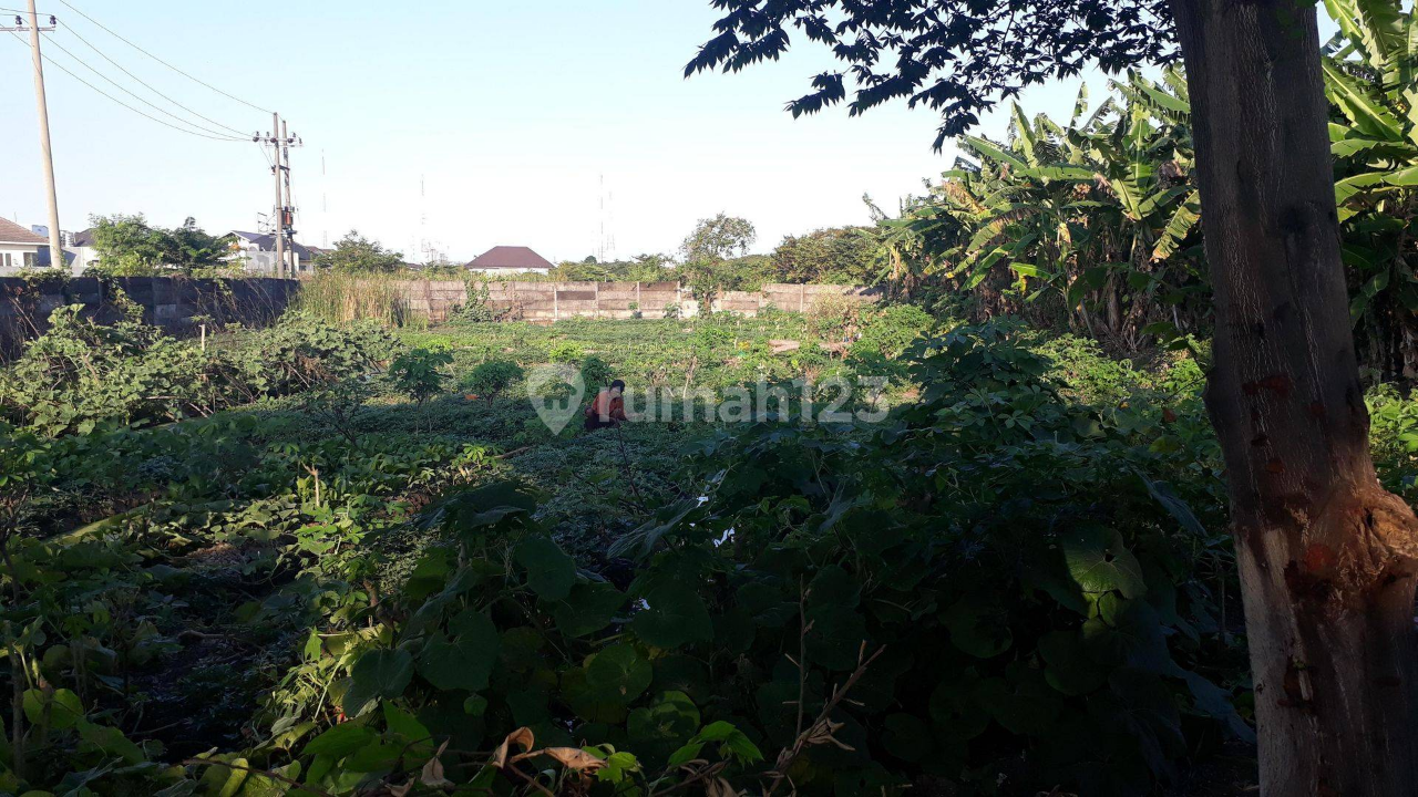 Vacant Land for Rent in Sambikerep Area