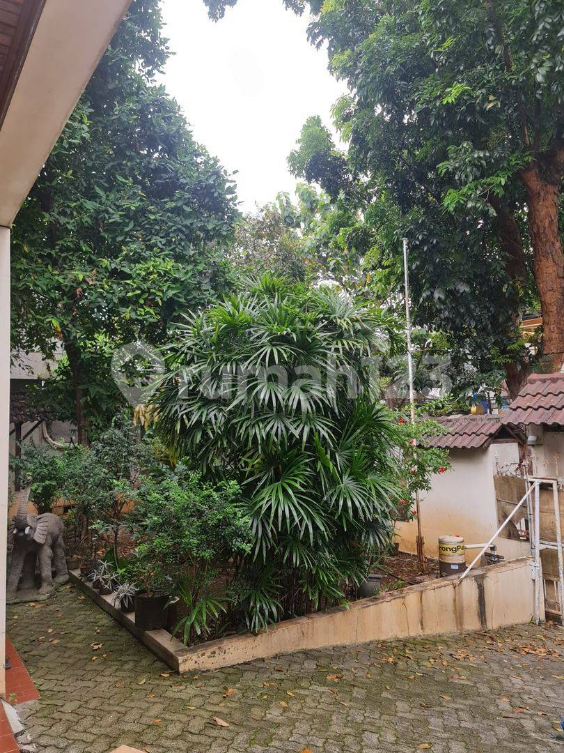 Luxury House for Rent in Tebet, Jakarta Selatan