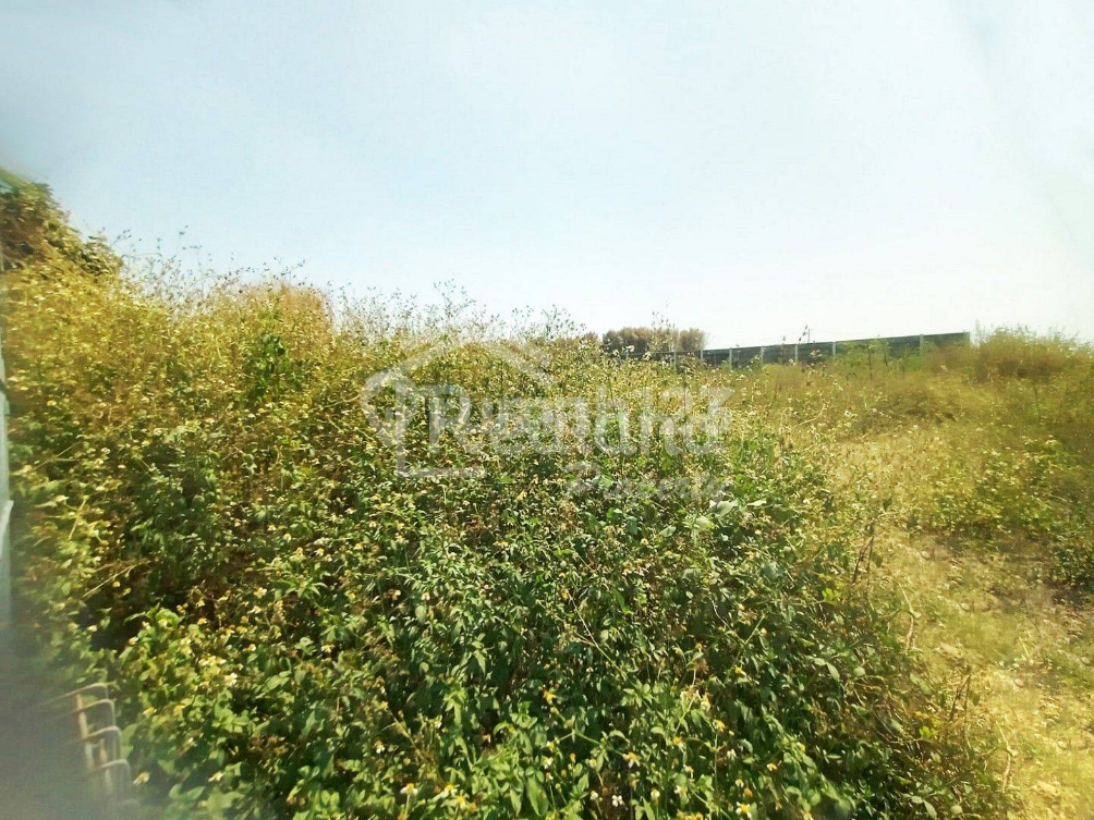 Land Plot in Wonosari Industrial Area