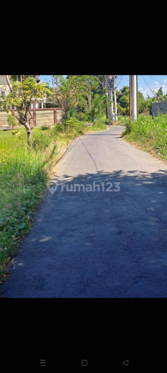 Large 800m² Land Plot for Annual Rent