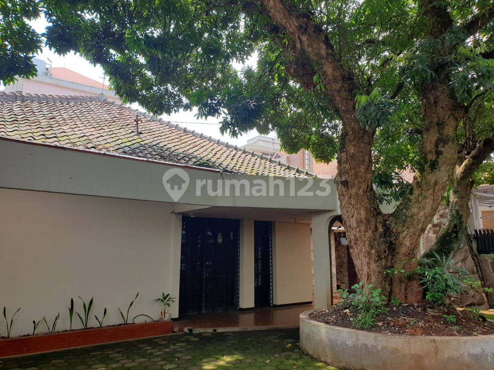 Spacious Central House with Pavilion for Business