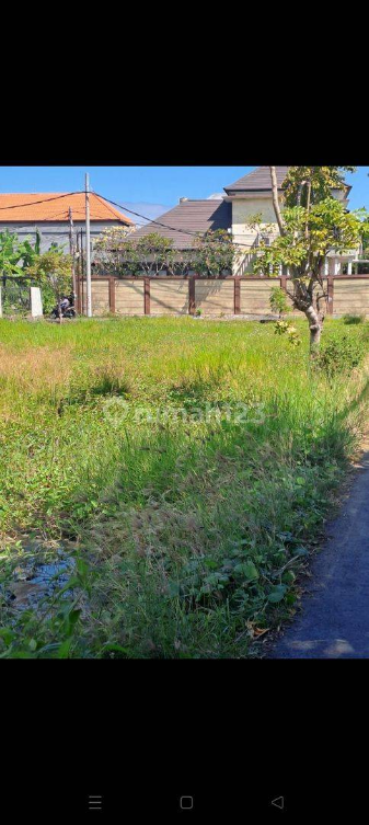 Large 800m² Land Plot for Annual Rent