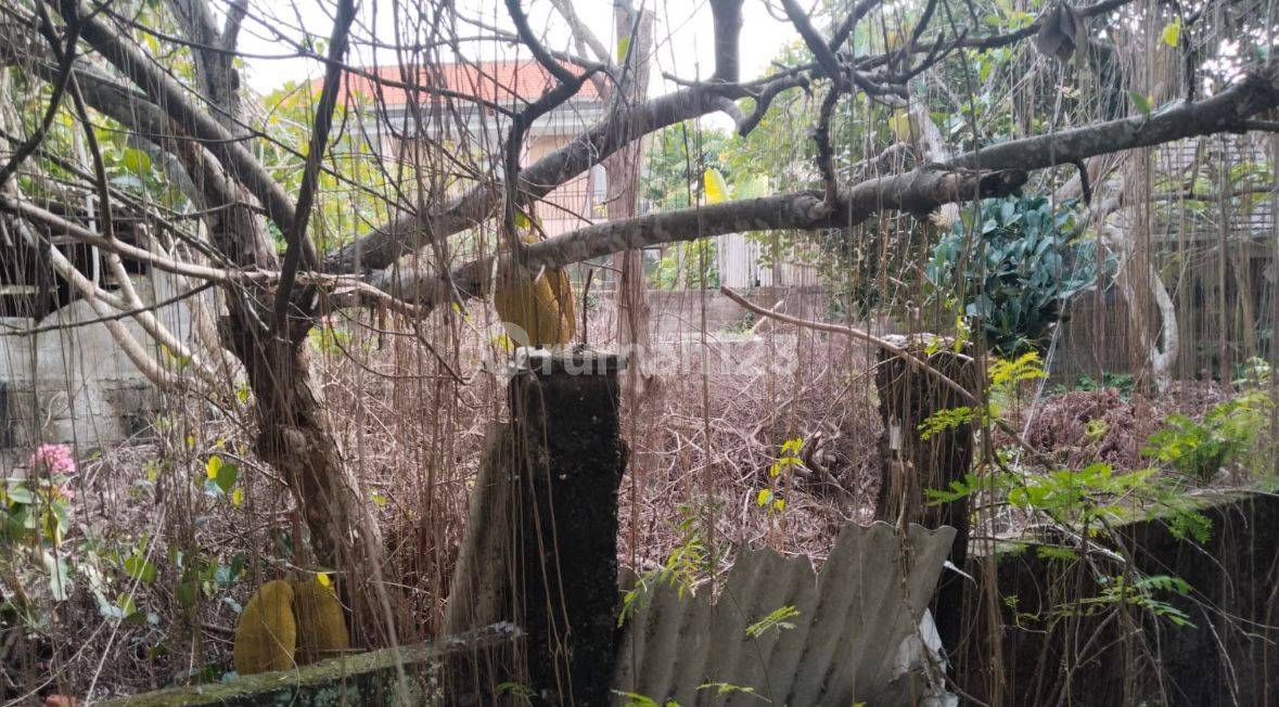 Vacant Land for Lease in Yellow Zone