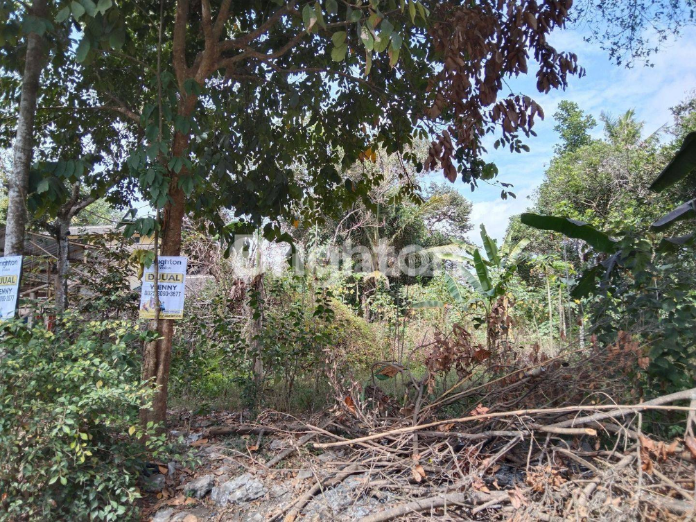 Large Commercial Land Plot Near Sleman City Hall