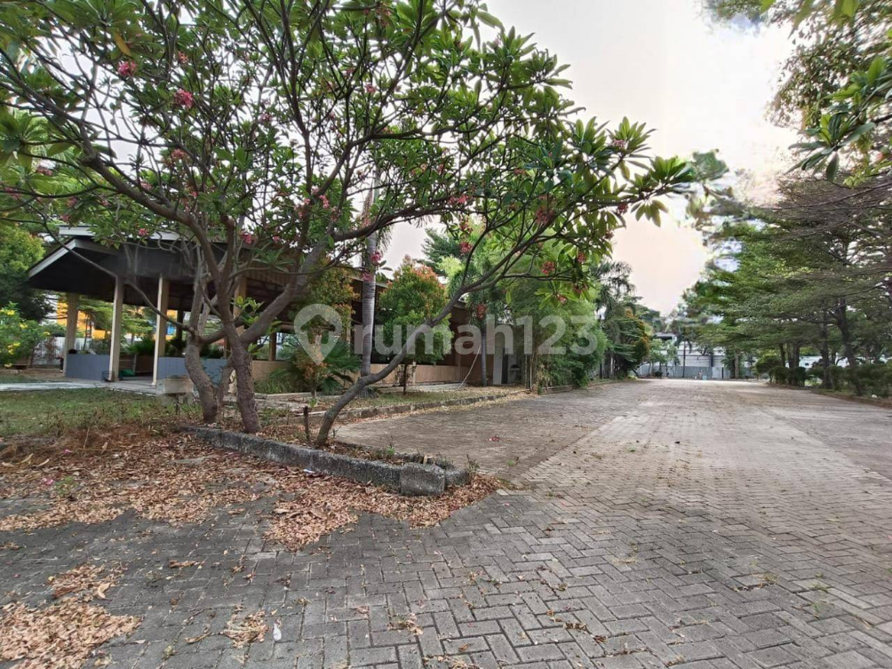 Commercial Land Plot 5000m² for Development