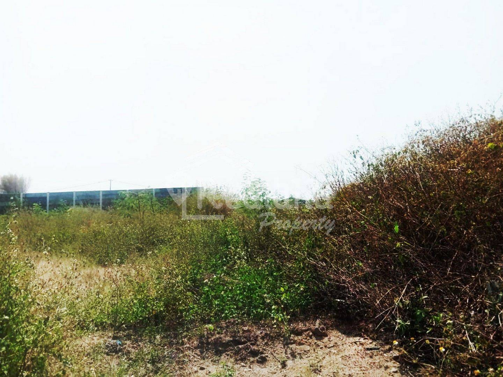 Land Plot in Wonosari Industrial Area