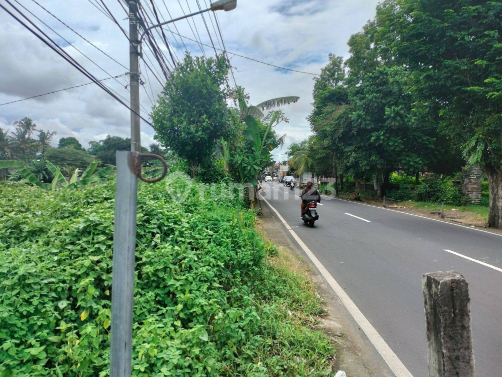 Large Commercial Land Plot Near Schools and Market