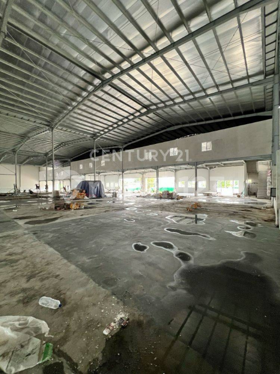 Modern Industrial Warehouse in Delta Silicon Complex