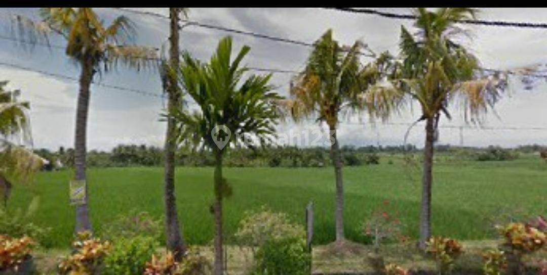 Land Plot in Canggu Near Tanah Lot