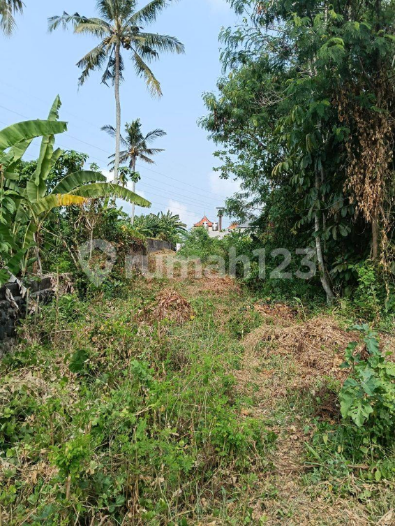 Land for Rent in Ubud with Beautiful Rice Field Views