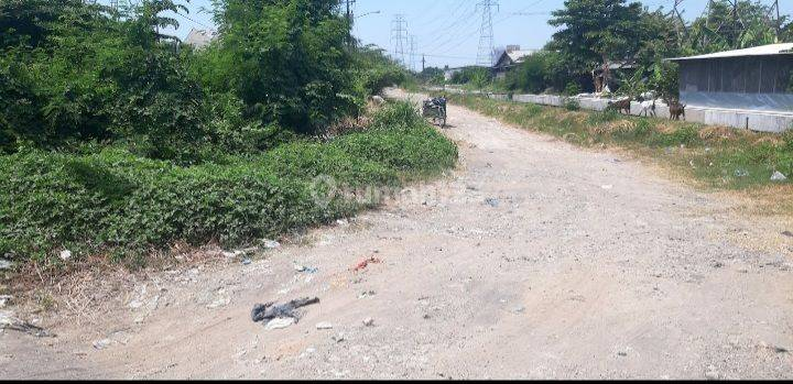 Industrial Land for Rent in Terboyo Industrial Area