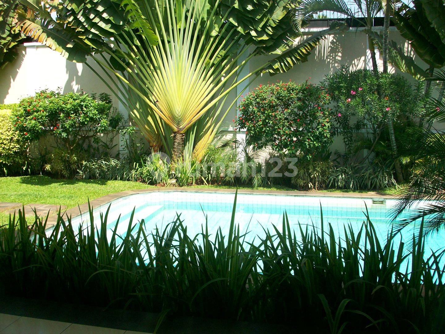 Spacious 4BR House in Kemang with Pool and Garden