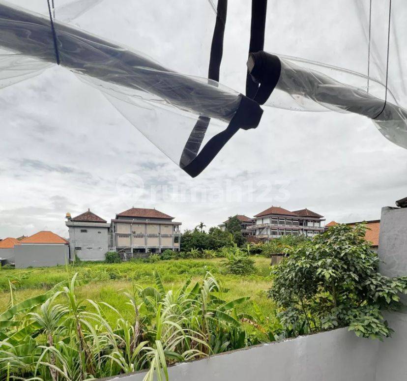 2 Bedrooms Modern Minimalist House in Dawas with Rice Field View