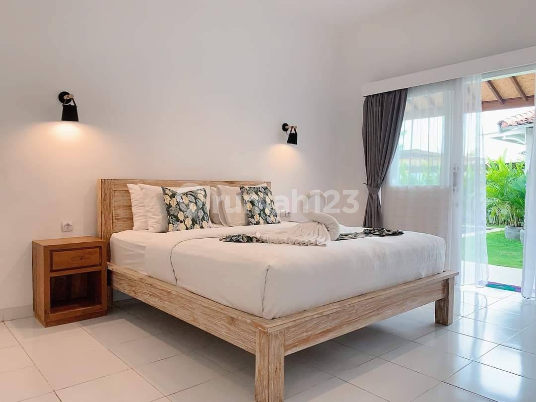 Canggu Batu Bolong Guesthouse - 7 Bedrooms, Swimming Pool, Long Leasehold