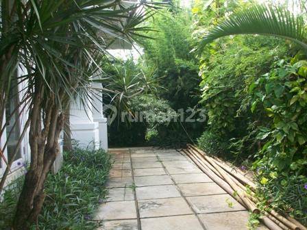 Spacious House with Swimming Pool in Kemang Area
