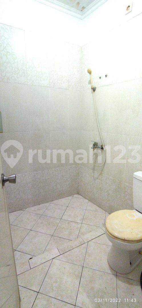 Medoho City Park House - 2 Bedrooms, 90m², Southern Facing