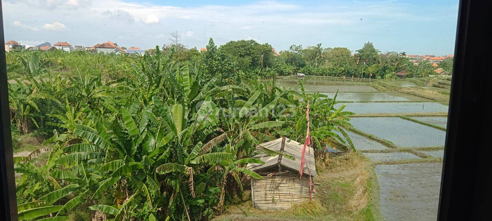 Nice rental house Semi Furnished SHM Sempidi, Badung